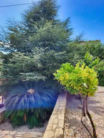 Image No.28-Villa de 4 chambres à vendre à Almyrida