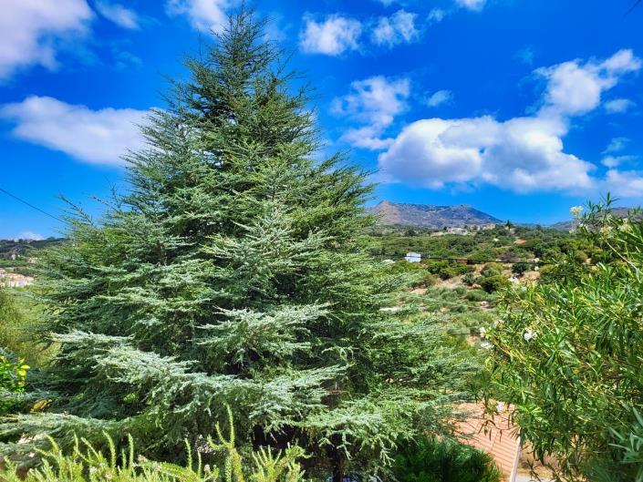 Image No.29-Villa de 4 chambres à vendre à Almyrida