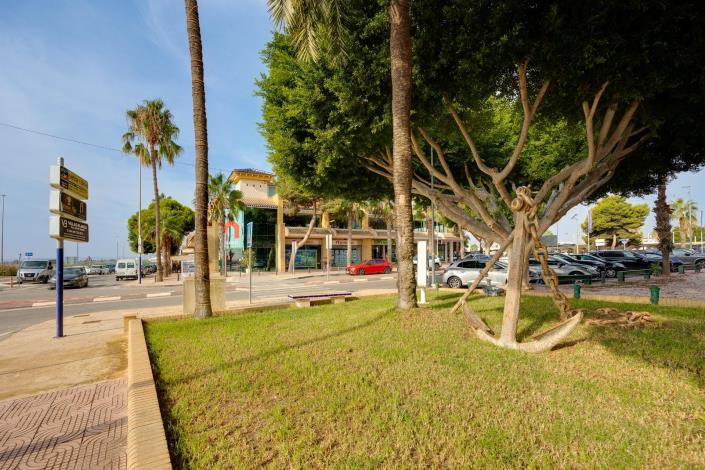 Image No.37-Bungalow de 2 chambres à vendre à Torrevieja