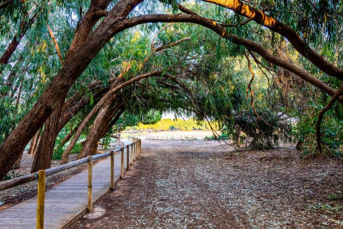 Image No.47-Bungalow de 2 chambres à vendre à Torrevieja