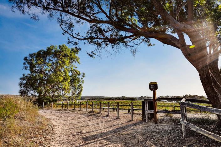 Image No.48-Bungalow de 2 chambres à vendre à Torrevieja