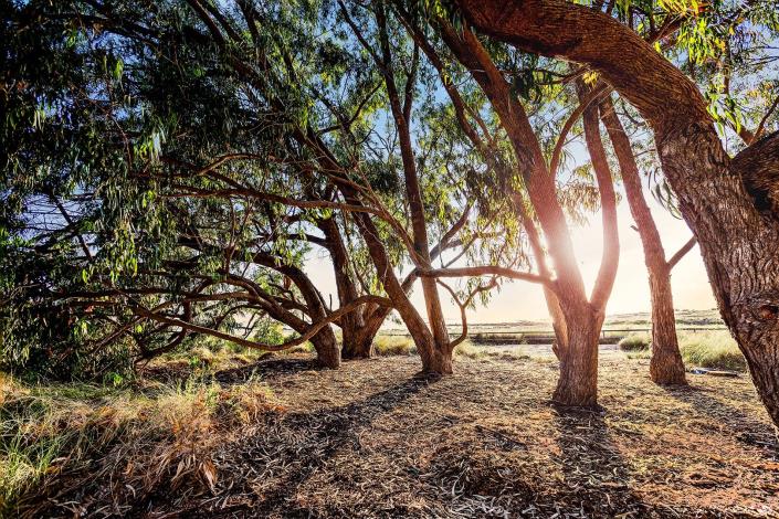 Image No.49-Bungalow de 2 chambres à vendre à Torrevieja