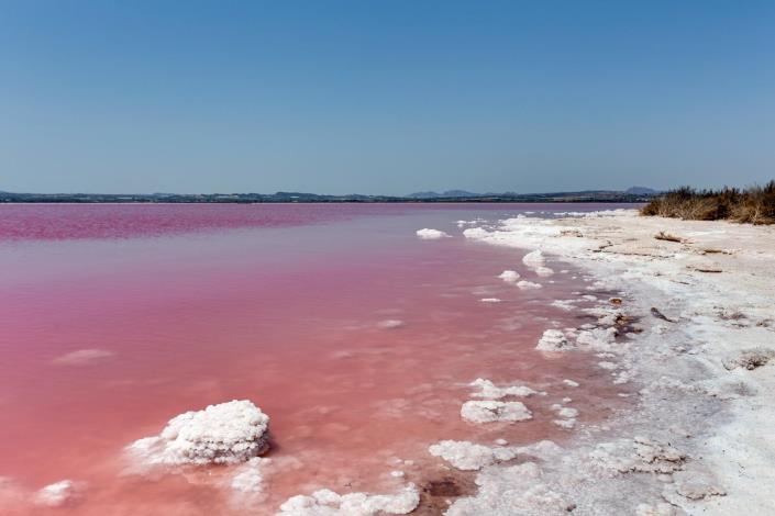 Image No.34-Bungalow de 3 chambres à vendre à Torrevieja