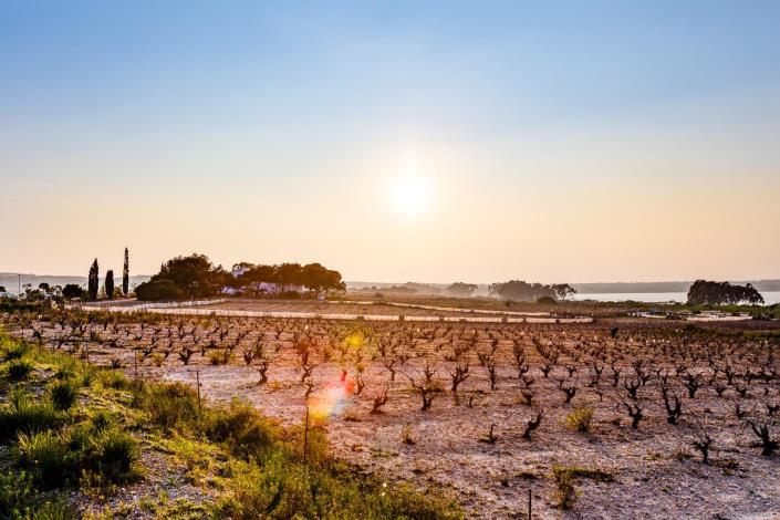 Image No.45-Bungalow de 3 chambres à vendre à Torrevieja
