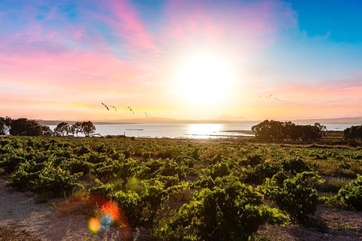 Image No.49-Bungalow de 3 chambres à vendre à Torrevieja