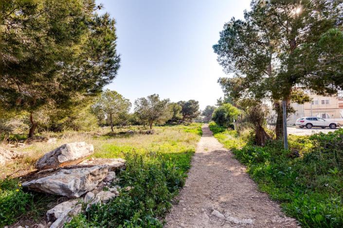 Image No.50-Bungalow de 2 chambres à vendre à Torrevieja