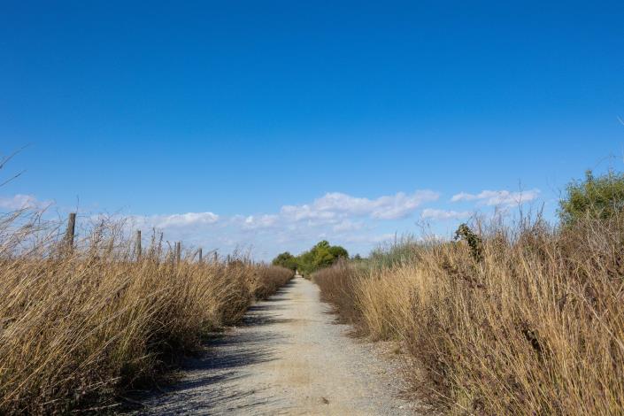 Image No.54-2 Bed Bungalow for sale