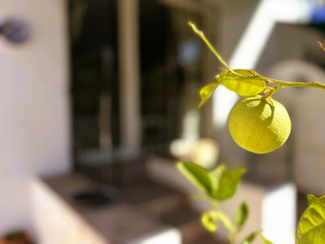 b98le8d7m9k3degpefzhs0lif8u4xzvzhwxtmggyekxx9