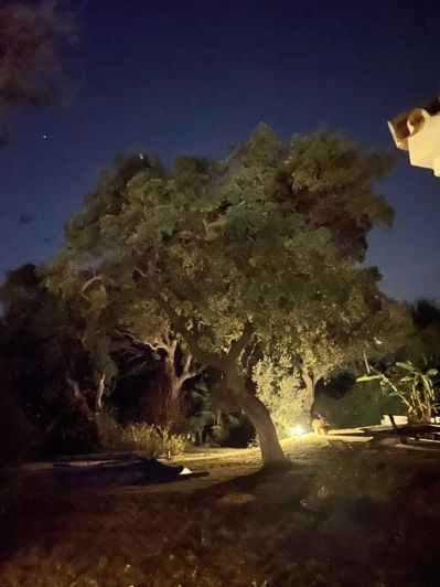 Image No.13-4 Bed Villa for sale