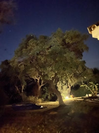 b98le8d7m9k3degpefzhs0lif8u4xzvzhwxtmggyekxx9