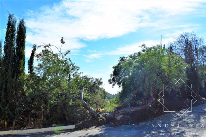 Image No.12-Land for sale