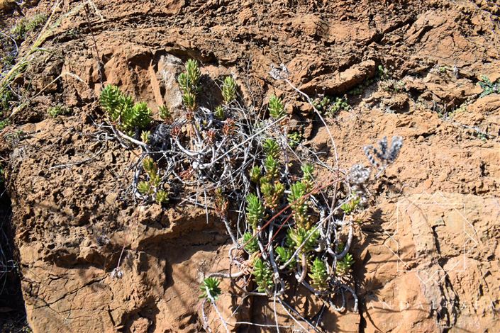 Image No.22-Land for sale