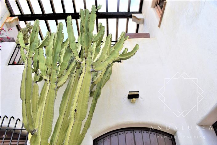 Image No.61-Propriété de 5 chambres à vendre à Las Negras