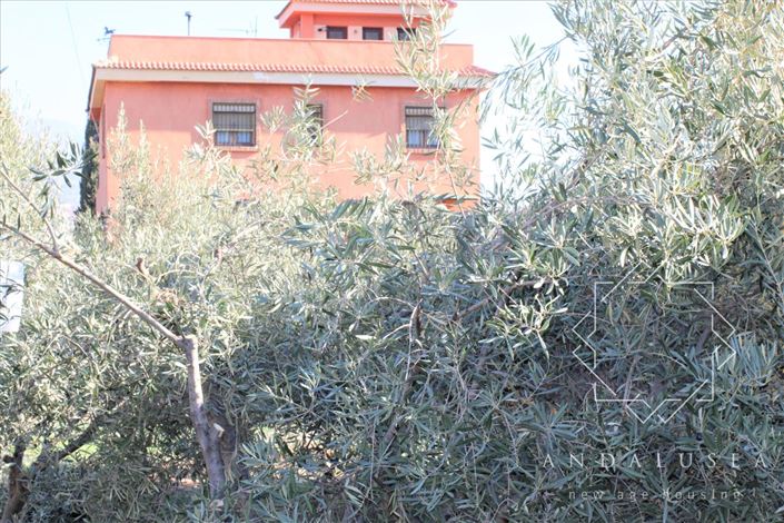 Image No.42-Propriété de 5 chambres à vendre à Fondón