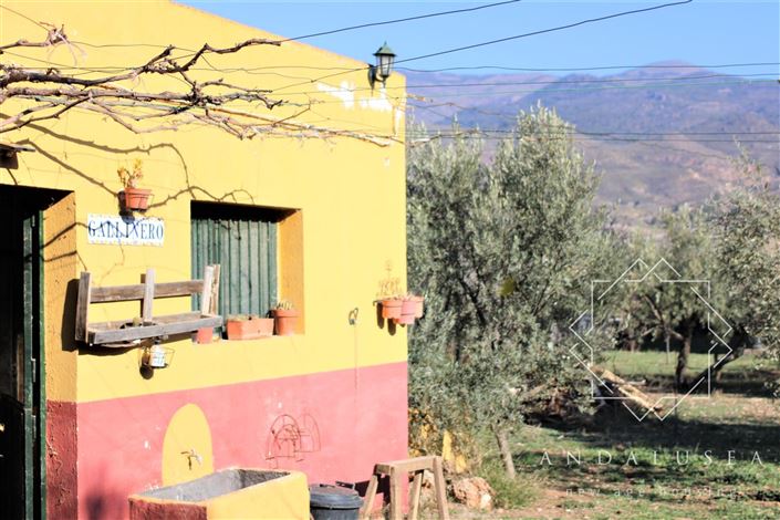 Image No.44-Propriété de 5 chambres à vendre à Fondón