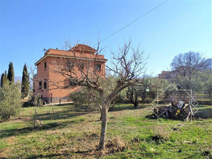 Image No.49-Propriété de 5 chambres à vendre à Fondón