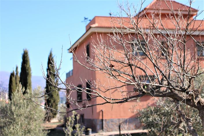 Image No.50-Propriété de 5 chambres à vendre à Fondón