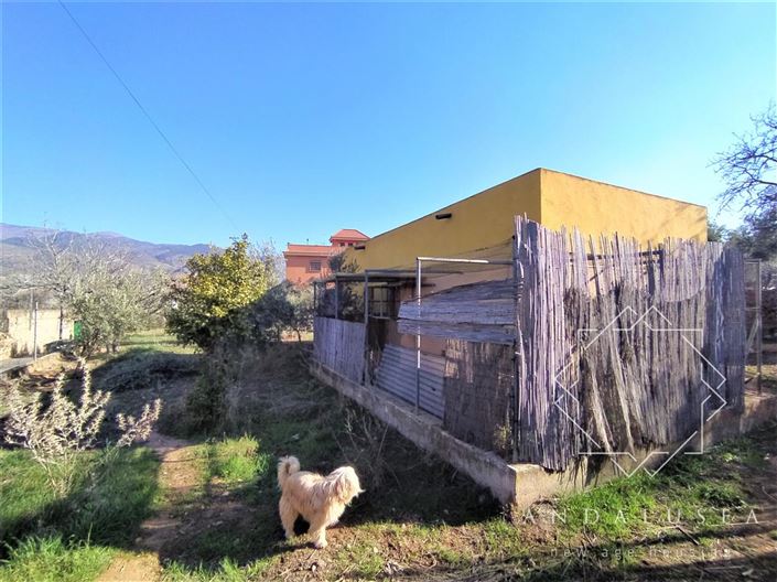 Image No.51-Propriété de 5 chambres à vendre à Fondón