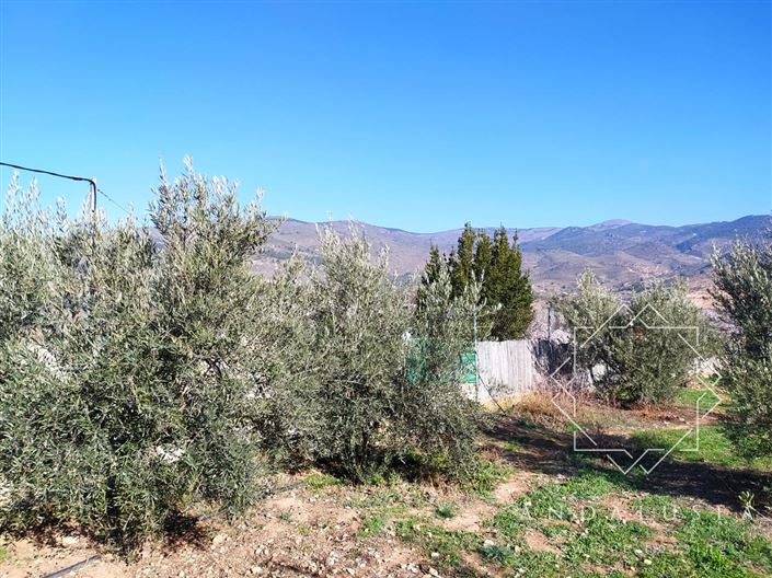 Image No.52-Propriété de 5 chambres à vendre à Fondón