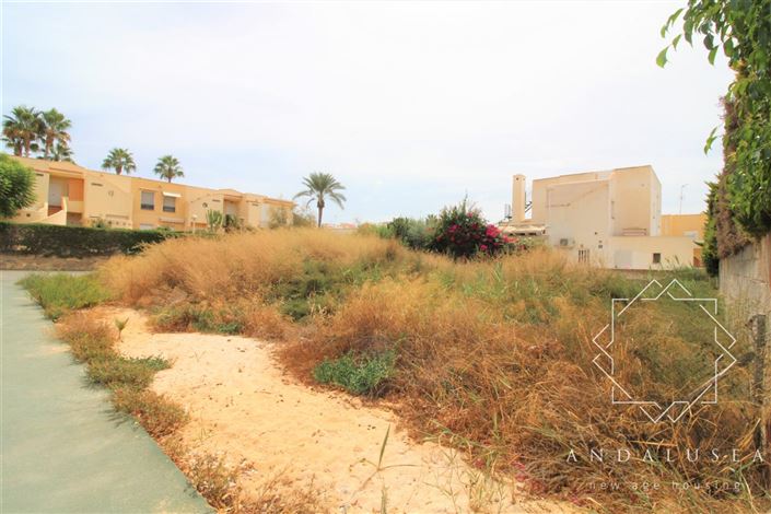 Image No.2-Terre à vendre à Vera