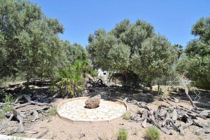 Image No.8-Propriété de 6 chambres à vendre à Turre