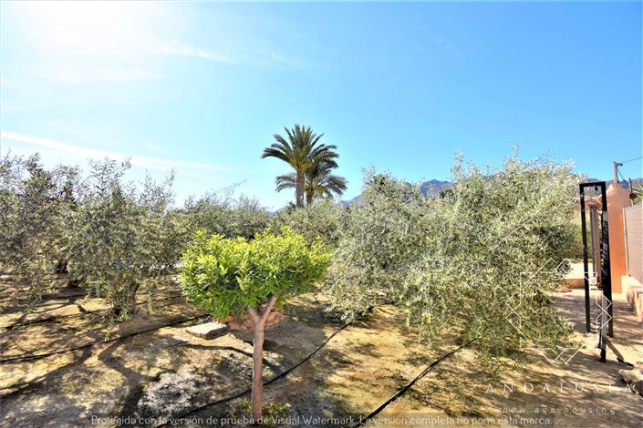 Image No.45-Propriété de 3 chambres à vendre à Turre