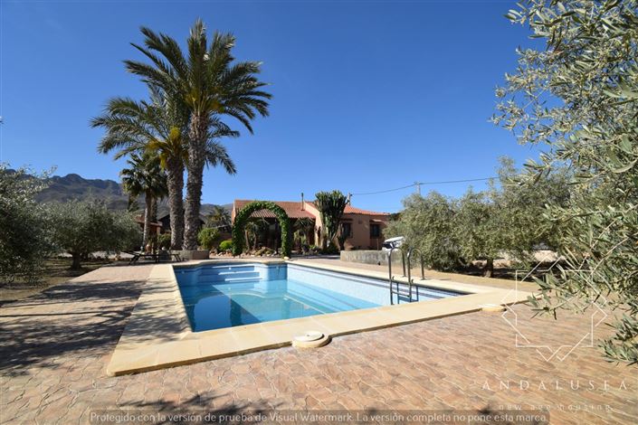 Image No.47-Propriété de 3 chambres à vendre à Turre