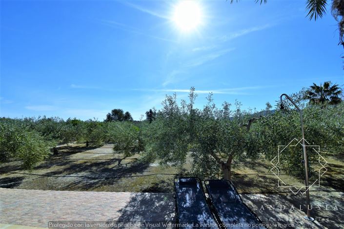 Image No.51-Propriété de 3 chambres à vendre à Turre