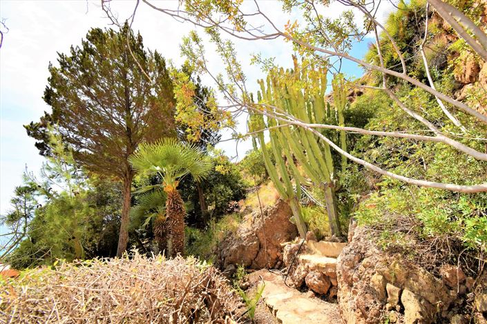 Image No.10-Terre à vendre à Mojacar