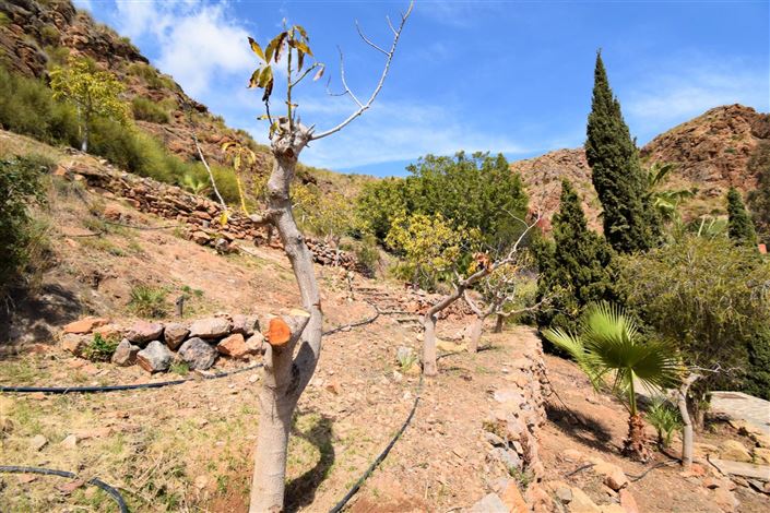 Image No.17-Terre à vendre à Mojacar