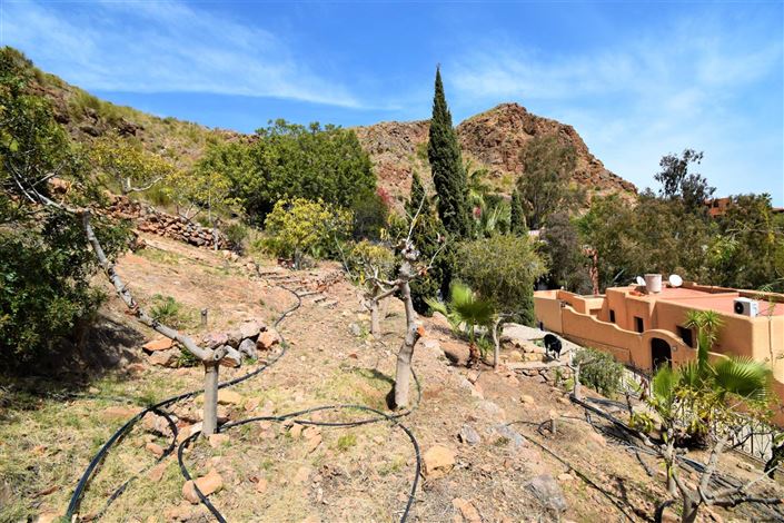 Image No.18-Terre à vendre à Mojacar