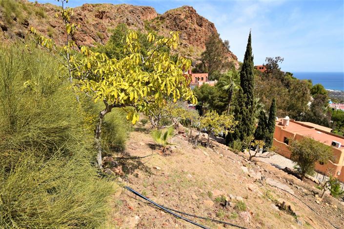 Image No.5-Terre à vendre à Mojacar