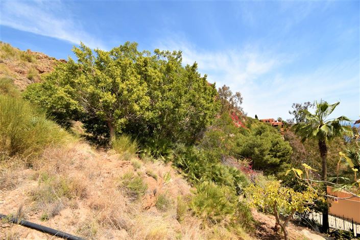 Image No.6-Terre à vendre à Mojacar