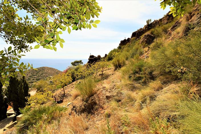 Image No.7-Terre à vendre à Mojacar