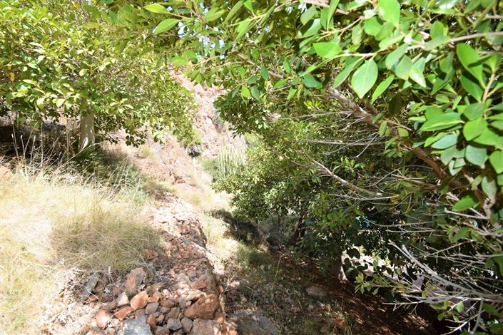 Image No.8-Terre à vendre à Mojacar