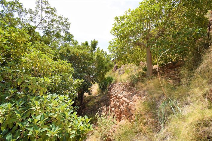 Image No.9-Terre à vendre à Mojacar