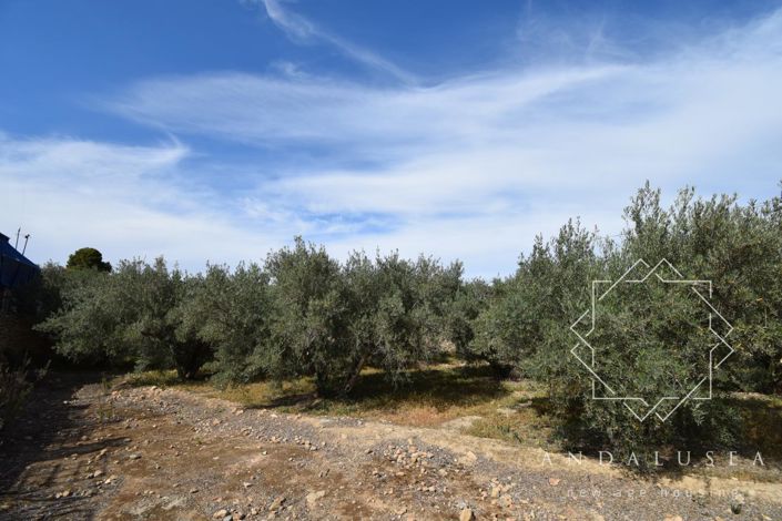Image No.6-Terre à vendre à Almeria