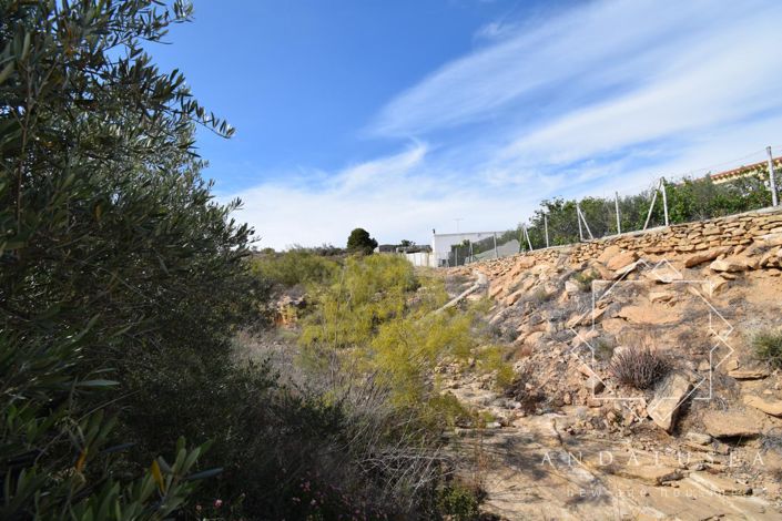 Image No.9-Terre à vendre à Almeria