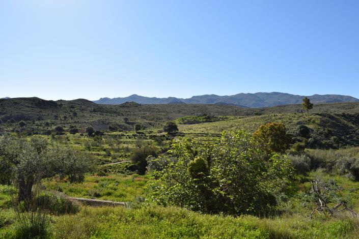 Image No.9-Terre à vendre à Los Gallardos