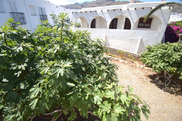 Image No.49-Propriété de 3 chambres à vendre à Mojacar