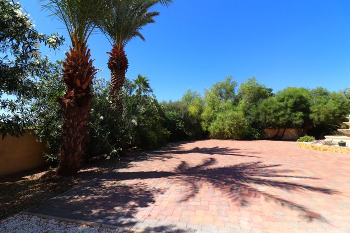 Image No.28-Propriété de 3 chambres à vendre à Catral