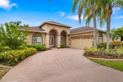 5-print-IMG_4475-Edit