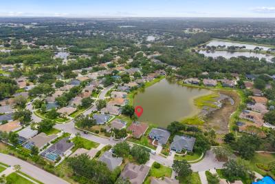 11-print-DJI_20250610120546_0584_D-Edit