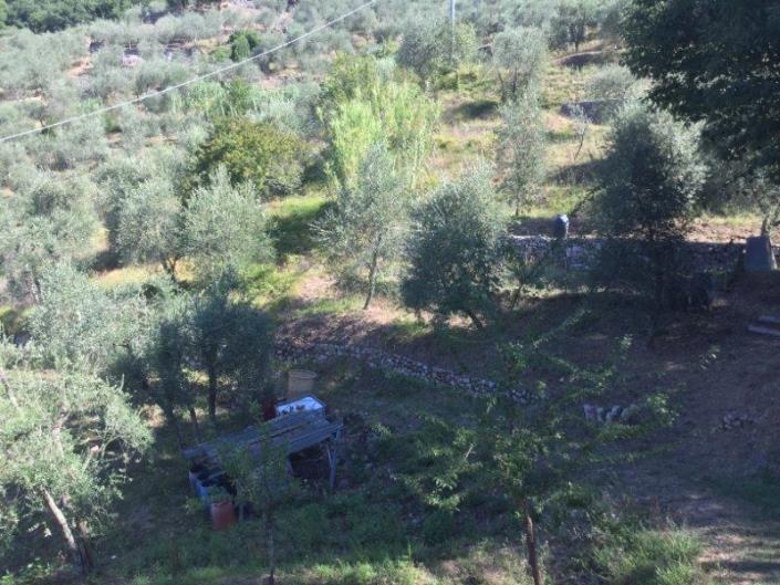 Image No.9-3 Bed House for sale