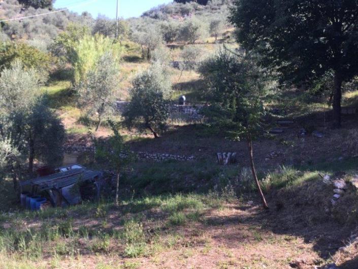 Image No.17-3 Bed House for sale