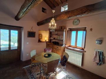 20250320_114710---Copy