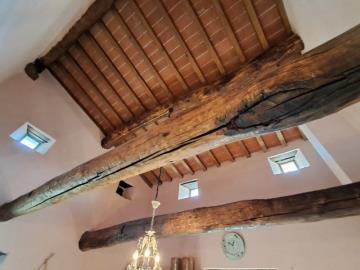 20250320_114714---Copy