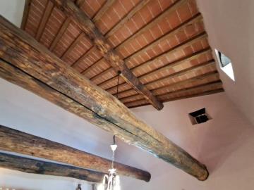 20250320_114722---Copy