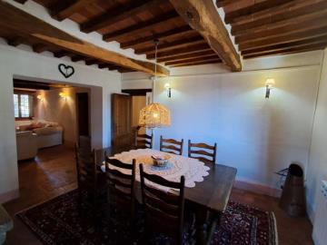 20250320_114733---Copy