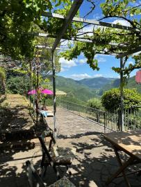 WhatsApp-Image-2025-03-21-at-14-19-44_2dc137ff---Copy